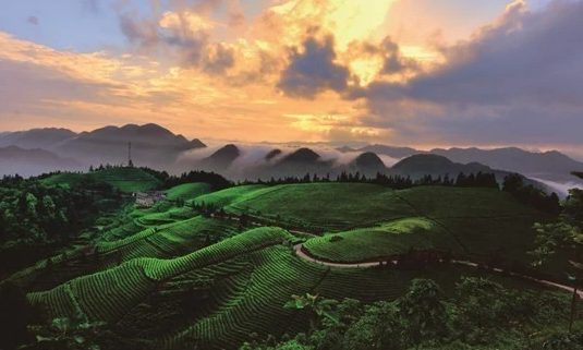 芭蕉乡（四川仪陇县芭蕉乡）