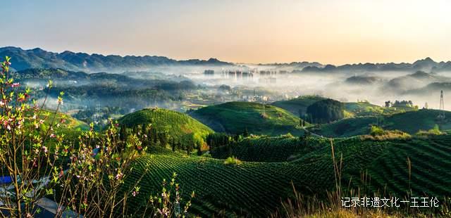 贵州省首张生态茶场林业碳票诞生
