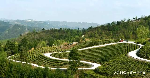 贵州省首张生态茶场林业碳票诞生