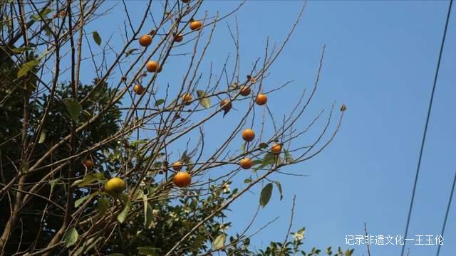 这个秋天，以“纸”为媒，青曼研究院带你探寻非遗文化