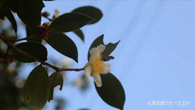 这个秋天，以“纸”为媒，青曼研究院带你探寻非遗文化