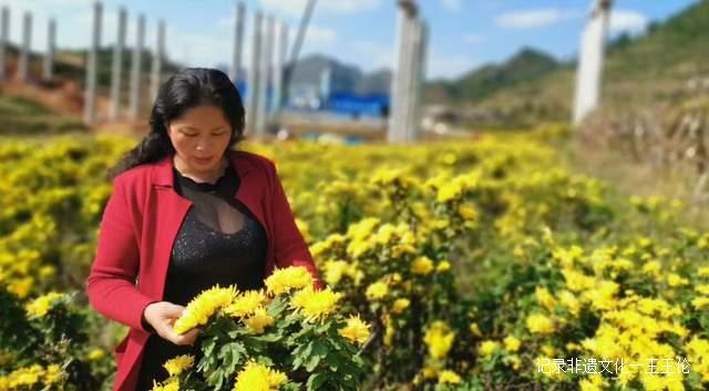民营企业家王会珍:为上千名山区贫困学生和残疾人送去爱心