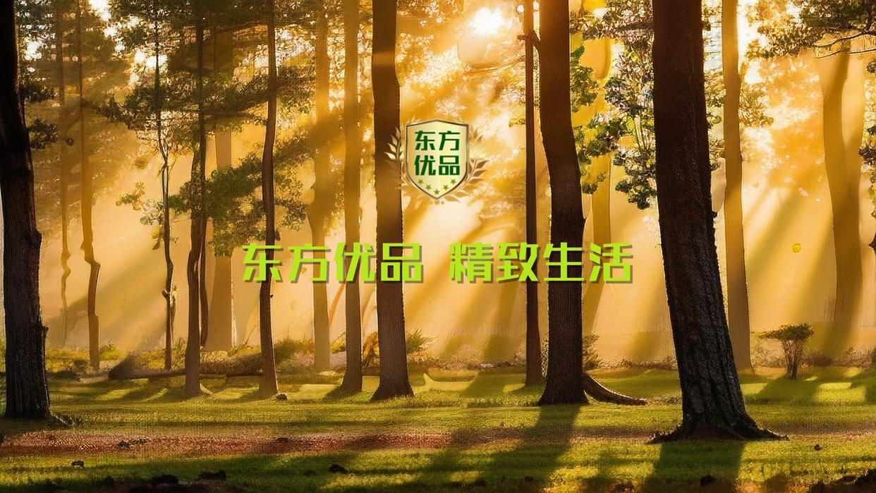 东方优品标准认证中心